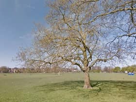 Generic view of Peckham Rye Park. Picture: Google Maps