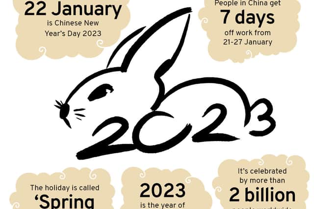 Chinese Horoscope 2023: Know Your Yearly Forecast Through Chinese Animal  Symbols 