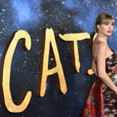 Taylor Swift's love for cats has been reflected in her pet Olivia Benson being ranked third wealthiest pet in the world (Pic: Steven Ferdman/Getty Images)