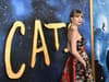 Taylor Swift’s cat Olivia Benson ranks third richest alongside Oprah Winfrey and Karl Lagerfeld beloved pets