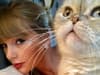 Richest pets: Taylor Swift’s cat Olivia Benson among 10 richest animals in the world - how much they are worth?