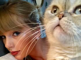 Taylor Swift’s cat Olivia Benson is one of the richest pets on the planet