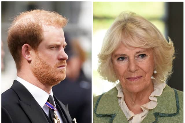 Prince Harry and Queen Consort Camilla 
