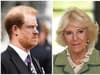 Prince Harry CBS interview: Duke of Sussex brands Camilla the ‘villain’ and ‘dangerous’ over press connections