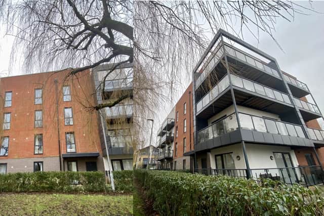 Lisa Petty’s building, Baneberry Lodge in Romford, is fitted with the same flammable cladding that Grenfell Tower had. 