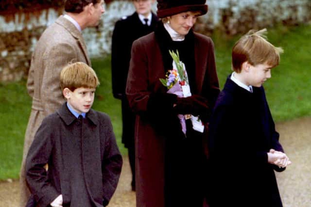 Princess Diana (C) and their sons, William (R) and Harry (POOL/AFP via Getty Images)