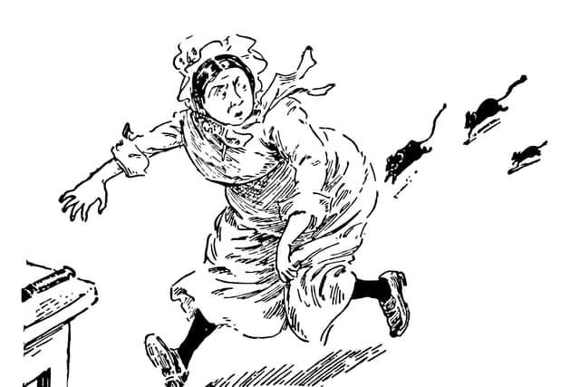 Three mice chasing a woman, vintage line drawing (Morphart - stock.adobe.com)