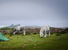 Wild camping on Dartmoor has been restricted after a new High Court ruling. (Credit: Adobe)