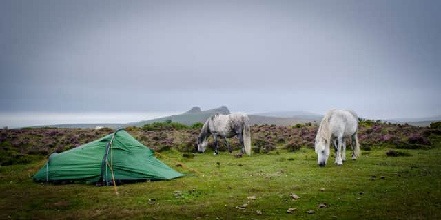 <p>Wild camping on Dartmoor has been restricted after a new High Court ruling. (Credit: Adobe)</p>
