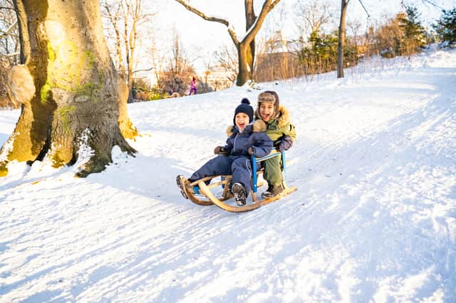 <p>Best sleds, sledges, and toboggans for everyone to enjoy in the snow</p>