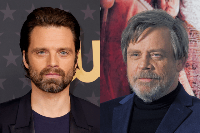 Sebastian Stan and Mark Hamill - their similarities led to many asking Stan to be cast as a young Luke Skywalker (Credit: Getty Images/Lucasfilm)