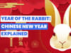 Chinese New Year 2023: What is my Chinese Zodiac sign? What Year of the Rabbit means for 2023 - and horoscope