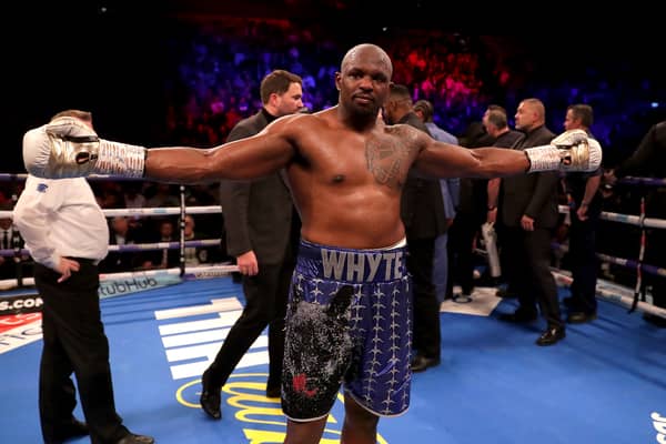 Dillian Whyte is hoping to fight former UFC champion Francis Ngannou. (Getty Images)