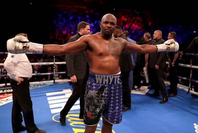 Dillian Whyte is hoping to fight former UFC champion Francis Ngannou. (Getty Images)