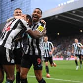 Newcastle celebrate their goal against Fulham