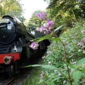 It has been 100 years since the famous Flying Scotsman first entered service, and to celebrate a centenary tour of events is planned across the country.