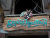Disney Splash Mountain: why is ride closing - Song of the South racist row explained
