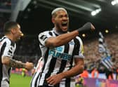 Joelinton celebrates scoring for Newcastle