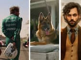 An F1 racer in Drive to Survive; Gunther the dog from documentary Gunther’s Millions; Penn Badgely in You (Credit: Netflix)