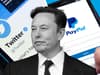 Will Twitter become a super app? Elon Musk’s new bid to make PayPal online payments rival