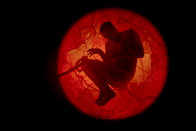 A promotional image for A Whole Lifetime with Jamie Demetriou, depicting Demetriou in utero (Credit: Netflix)