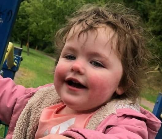<p>Alice Stones, 4, has died in Milton Keynes after reports of a dog attack.  (Credit: Facebook)</p>