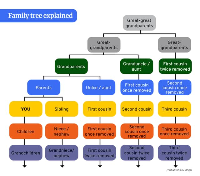The family tree explained.