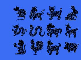 The Chinese zodiac is made up of 12 animals.