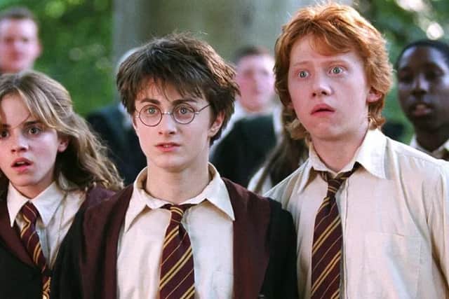 The Harry Potter franchise is based on the J.K. Rowling fantasy novels