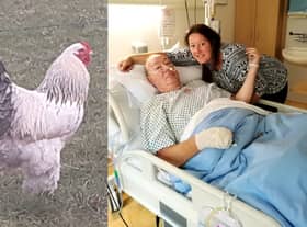 Jasper Kraus suffered a fatal heart attack after the Brahma chicken plunged its spur into his leg (Photo: Virginia Guinan / SWNS)