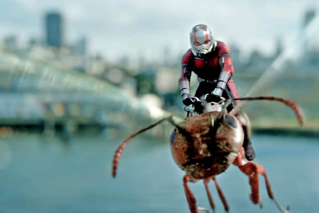 Paul Rudd as Ant-Man in Ant-Man and the Wasp, riding an ant (Credit: Marvel/Disney)