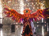 Phoenix in the Masked Singer finale, flanked by fireworks (Credit: ITV)