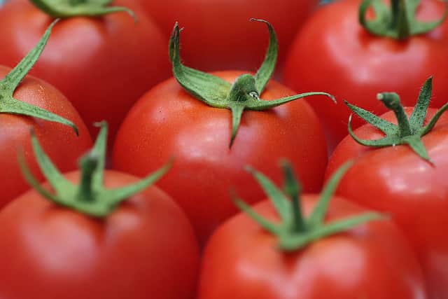 Tomatoes are not expected to make it back onto shelves until the end of March (image: Getty Images)