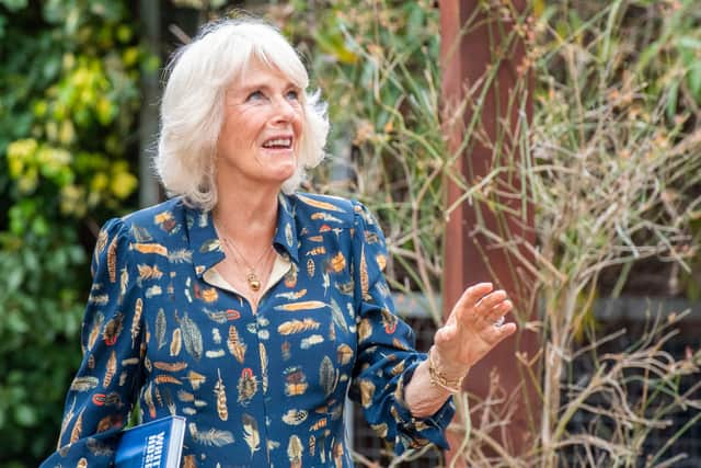 Camilla has been the Patron of Roald Dahl's Marvellous Children's Charity since 2017 (Pic:Getty)