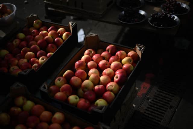 Apples have to be stored for much of the year to provide what is almost all-year-round supply (image: AFP/Getty Images)
