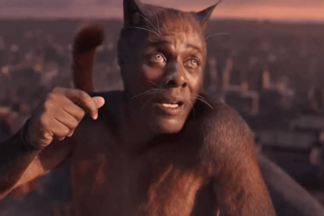 Idris Elba in the critically panned Cats - playing Macavity the Mystery Cat (Credit: Universal Pictures)