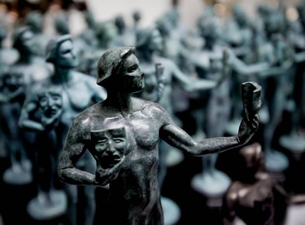 There are 15 awards categories at the 29th SAG Awards
