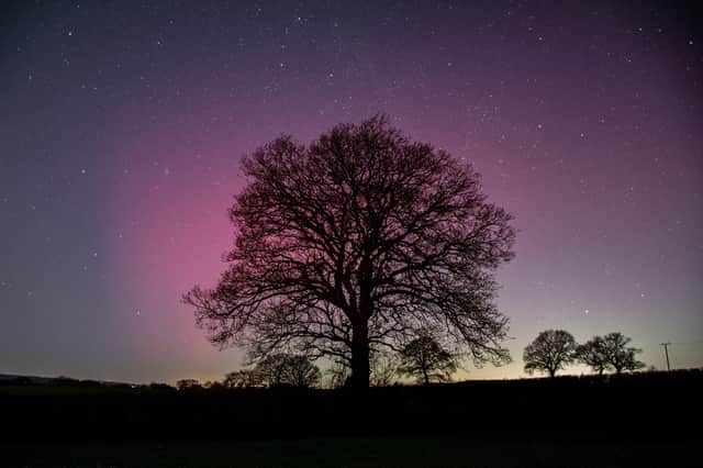 A photo of the northern lights over Shropsire taken by Alex Murison (Image: PA / handout)