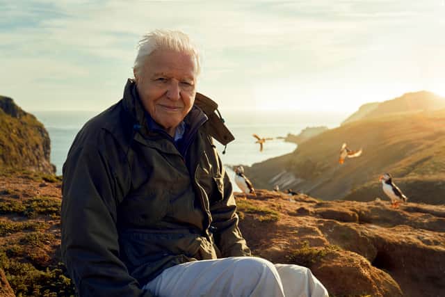 Sir David Attenborough filming Wild Isles on Skomer Island, sat next to a puffin (Credit: BBC/Silverback Films/Alex Board)