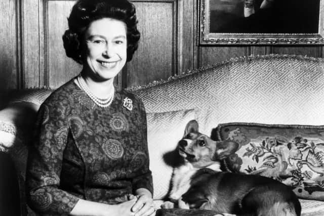 Headshot taken on February 26, 1970 of Queen Elizabeth II posing with her Corgis dog. (Photo by CENTRAL PRESS / AFP) (Photo by -/CENTRAL PRESS/AFP via Getty Images)