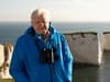 Where was Wild Isles filmed? Filming locations and animals featured in David Attenborough BBC series