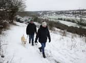 A couple walk their dog in the snow at Dartland Banks nature reserve near Hampstead on 8 March 2023 near Sevenoaks, Kent (Photo: Dan Kitwood/Getty Images)