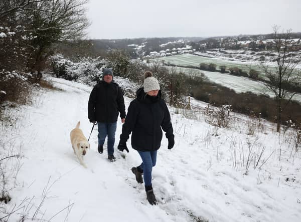A couple walk their dog in the snow at Dartland Banks nature reserve near Hampstead on 8 March 2023 near Sevenoaks, Kent (Photo: Dan Kitwood/Getty Images)