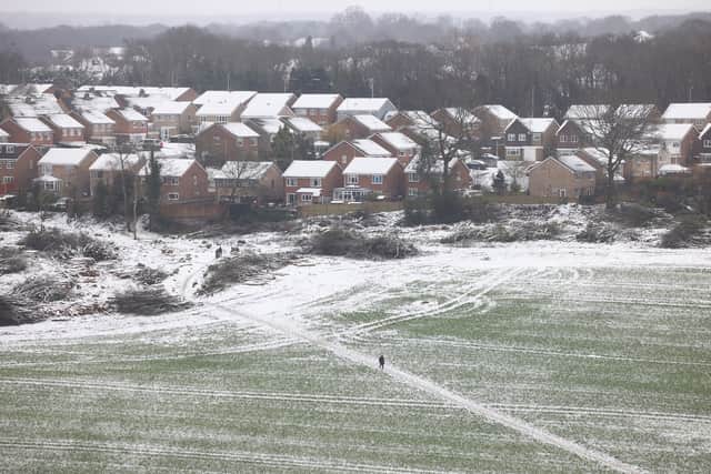Snow at Dartland Banks nature reserve near Hampstead (Photo: Getty Images)
