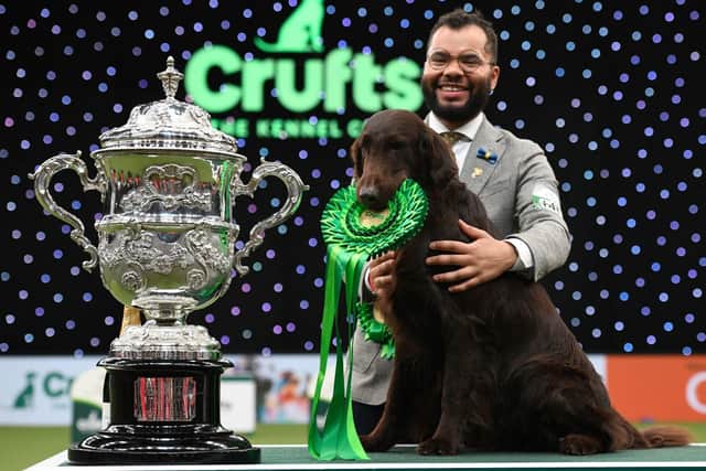 Winner of Best in Show, the flat coated retreiver, "Baxer" with owner and handler Patrick Oware at the trophy presentation for the Best in Show event on the final day of the Crufts dog show at the National Exhibition Centre in Birmingham, central England, on March 13, 2022. (Photo by OLI SCARFF/AFP via Getty Images)