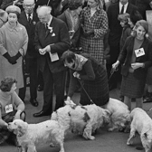 Queen Elizabeth II visits the Crufts Dog Show at the Olympia exhibition centre, London, 9th February 1969. (Photo by Potter/Daily Express/Hulton Archive/Getty Images)