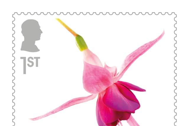 Photo issued by Royal Mail of their Fuchsia stamp , from their new 10-stamp set (Image by PA Media) 