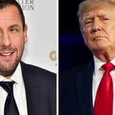 Adam Sandler and Donald Trump both trend today (Getty)