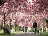 When does spring 2023 start? Date of first day of spring - and 14 best places to see blossoms in the UK