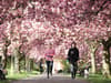 When does spring 2024 start? Date of first day of spring - and 14 best places to see blossoms in the UK